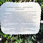 Apartman 